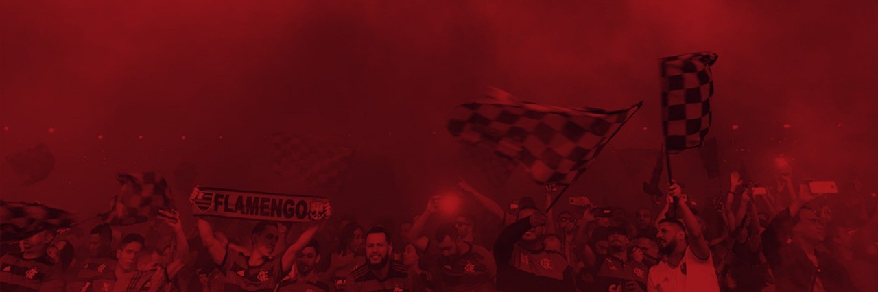 Clube De Regatas Do Flamengo Linkedin