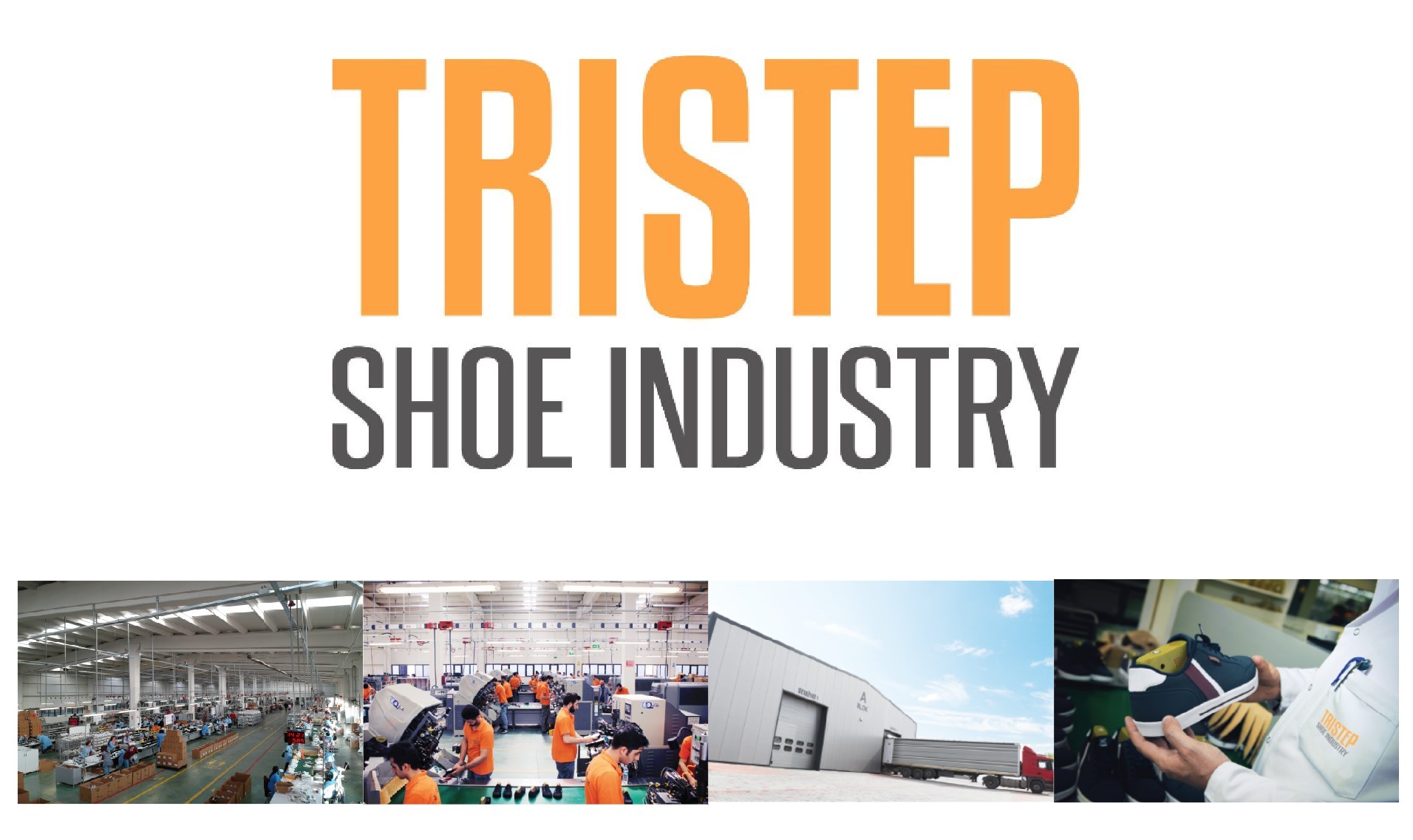 tristep shoe industry linkedin
